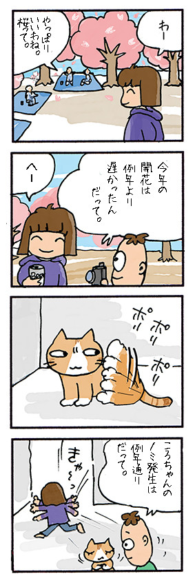 春です