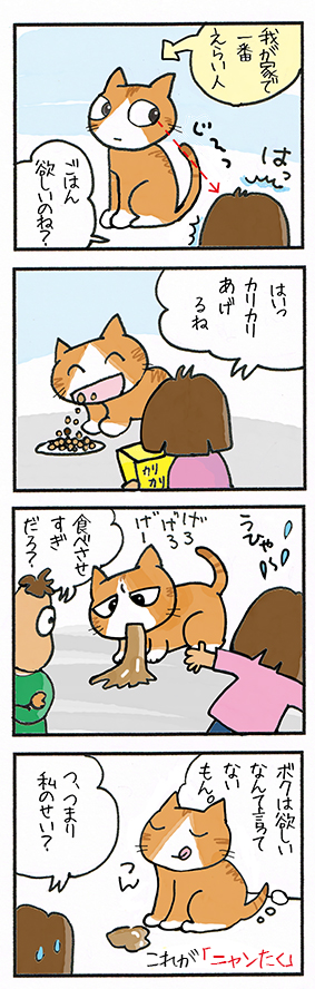 猫の忖度